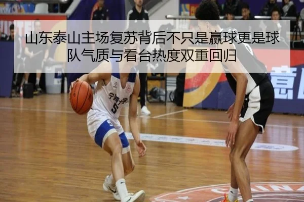 山东泰山主场复苏背后不只是赢球更是球队气质与看台热度双重回归 - Tencent Sports